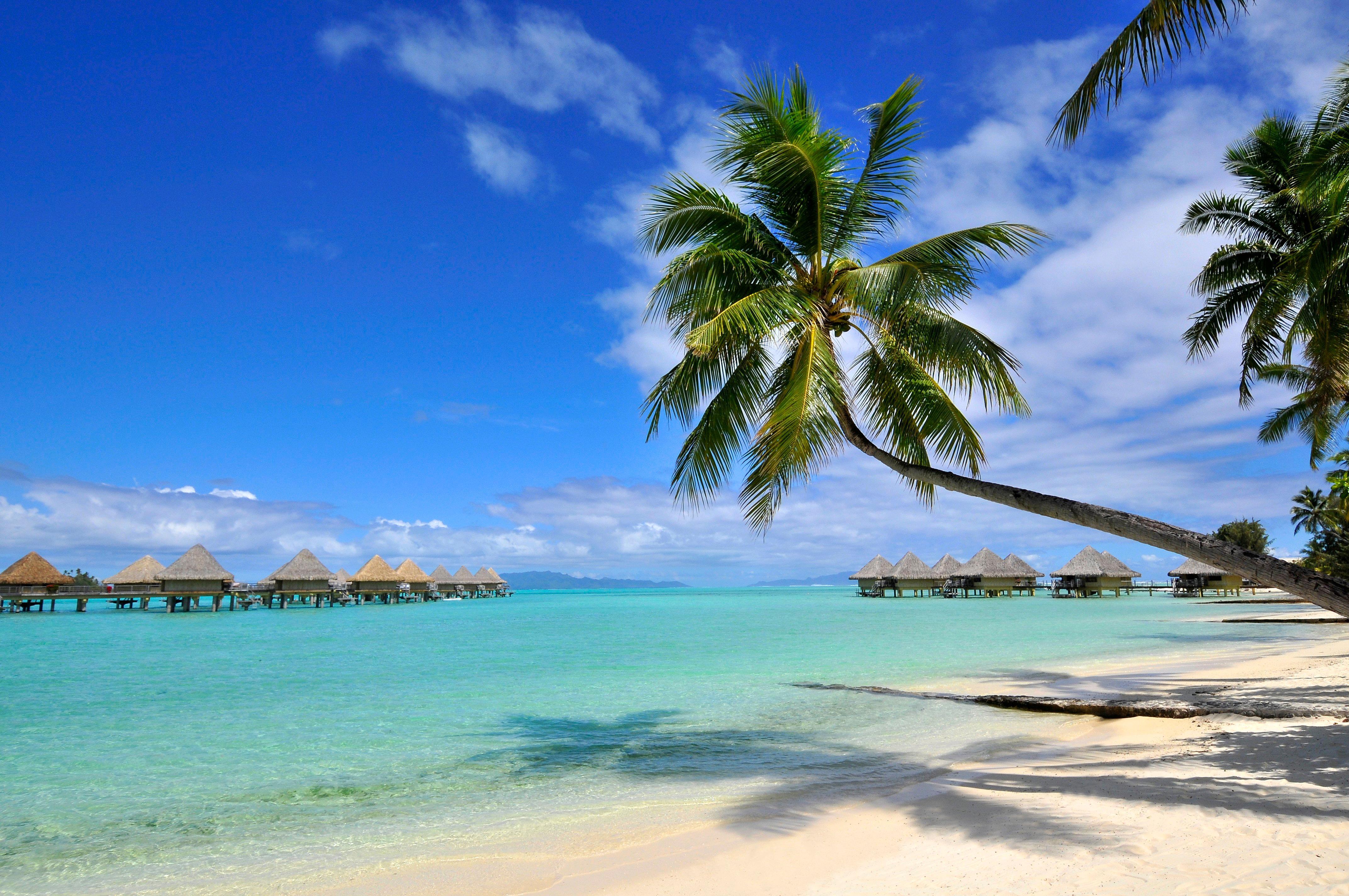 Station touristique Intercontinental Le Moana By Ihg